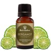 Bergamot Essential Oil for Diffuser Aromatherapy – Best of Nature