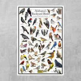 Where's Wildlife Alabama's Backyard Birds Poster - Alabama Bird Chart Highlighting Birds At Your Bird Feeder (12" x 18")