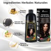 Shampoo Con Tinte Para Cubre Canas Extracto Ginseng Jengibre