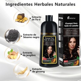 Shampoo Con Tinte Para Cubre Canas Extracto Ginseng Jengibre