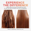 Hydrating Shampoo with Argan Oil for Dry, Damaged Hair, 12