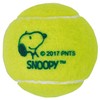 Sakurai Snoopy SN-450 Hard Tennis Balls, 2 Balls, Present, Yellow