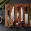 Sasaki Takumi Japanese AUS-10 Stainless Steel Slicing Knife with Locking