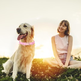 Waterproof Dog Collar with Safety Metal Buckle, Durable and Easy to Clean Soft Rubber Dog Collar, Adjustable Pet Collars for Small Medium Large Dogs