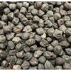 Black Garbanzo Chickpea Ceci Neri Bean Heirloom Seeds for Planting