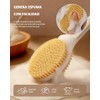 Cepillo para Espalda, 45cm Mango Largo Antideslizante, Cepillo Corporal