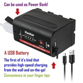 Kastar 2-Pack NP-F780EXP Battery and LCD AC Charger Compatible with DSR-PD100 DSR-PD150 DSR-PD170 DSR-PD190 DSR-V10 EVO-250 DKC-FP3 GV-A100 GV-A500 GV-A500E GV-A700 GV-D200 GV-D300 GV-D700