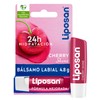 Liposan Cherry Shine (1 x 4.8g), Cherry Scented Lip Balm,