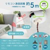 Ohm (OHM) Ohm Electric Pendant Light Remote Control Retrofit Remote
