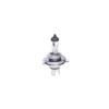Bosch Car Lamps 60/55W PU43t-3 1 987 302 092