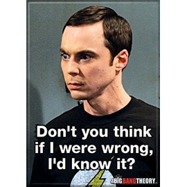 Ata-Boy The Big Bang Theory Sheldon 'If I were Wrong' 2.5" x 3.5" Magnet for Refrigerators and Lockers