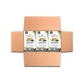 Miracle Tree - 3 Count of Organic Moringa Superfood Tea, 25 Individually Sealed Tea Bags, Earl Grey (Keto, Detox, Energy/Immunity Booster, Vegan, Gluten-Free, Organic, Non-GMO, Lightly Caffeinated)