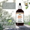 Beet Root Alcohol-Free Extract, Glycerite for Digestive Wellness, Supports Brain