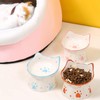 Siocok Ceramic Cat Feeder, Elevated Cat Bowls with Stand, 15°