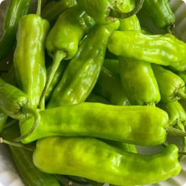 Richie’s Growth Market Pepperoncini Pepper Seeds, Italian Heirloom, Non-GMO, Free Shipping - 160 Seeds