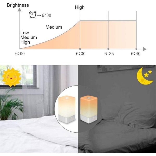 LED Light Alarm Clock, Light Alarm Clock with Sunrise Function, Touch Display, 5 Nature Sounds, Daylight Alarm Clock, Portable Wake Up Light for Your Good Life