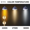 FANNIS 6 Pack G50 E26 Globe LED Light Bulbs Dimmable,