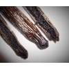 10 Fresh Madagascar Organic Grade A Bourbon Vanilla Beans [Whole]