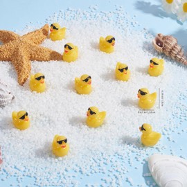 WEWAYSMILE 50 Pcs Animal Resin Figurines - Mini Resin Ducks & Cute Ducks Miniature Figurines for Moss Landscape DIY Ornament Accessories (Indoor/Outdoor)