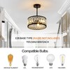 Zlepmlla Crystal Black Ceiling Light, Modern Light Fixture Ceiling, Chandelier