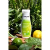 Weleda | Loción corporal refrescante de cítricos | 6.8 Onzas