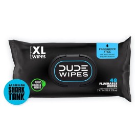 Wet DUDE Wipes Flushable Wipes - 1 Pack, 48 Wipes - Unscented Extra-Large Wet Wipes