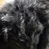 Faux fur fabric, with long hair, teddy fur, fabric, B708