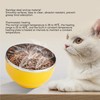 450ML Pet Heated Bowl Stainless Steel Water Heating Bowl USB