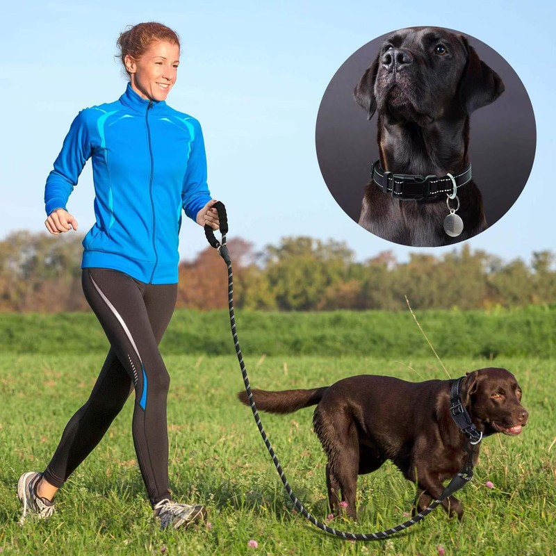 Reflective Dog Collar and Leash Set - Adjustable Collar with