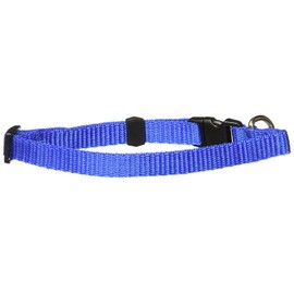 Fancypets TX44106 Juego Correa/Collar Acanalado, Talla Chica