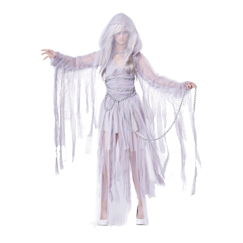 California Costumes Women's Haunting Beauty Costume Small Silver