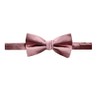 Spring Notion Men's Solid Color Satin Microfiber Bow Tie and