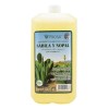Bebida Sabila Nopal Vitamina Prosa