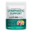 Lymphatic Support Supplement 120 Softgels– Advanced Botanical Complex with Echinacea,