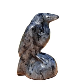 JRVIPSJ Natural Larvikite Bird Figurine Crow Skull Crystal Crow Home Decor Crystal Animal Crow Decor Statue (Larvikite)