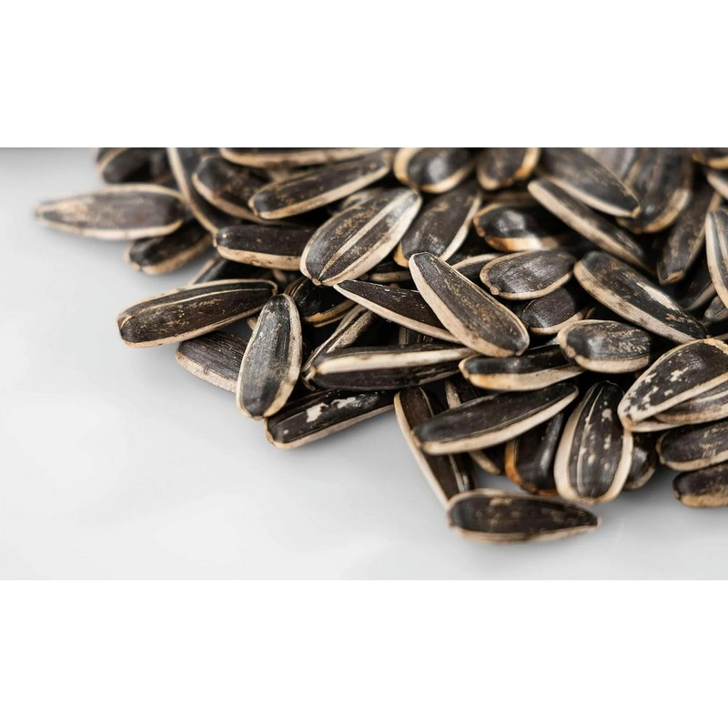 ChaCha Roasted Sunflower Seeds - Plain 250G (Pack of 3)