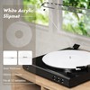 Acrylic Turntable Mat, Record Platter Slipmat Reduce Static Dust Noise