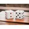 Fine Ceramic Red and Black Dice Salt & Pepper Shakers