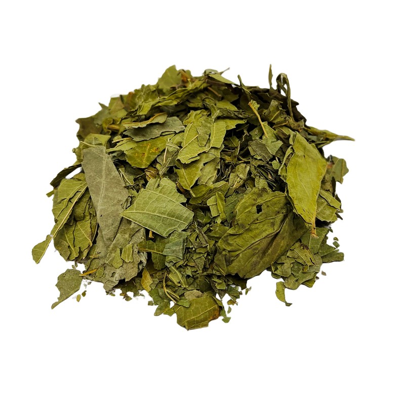 CIK Naturals Matico Herbal Infusion Tea-Piper aduncum Zip lock bag