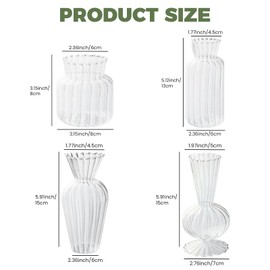 Odowalker Clear Flower Vase Set Small Glass Bud Vases Bulk 8 Pcs