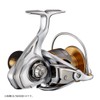 Daiwa LT5000-CXH 21 Freams Spinning Reel