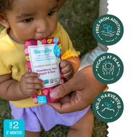 Babylife Organics Stage 2 Organic Baby Food - Strawberry, Pear, Apple & Beet, 3.5 Ounce Pouch (6 Pack)