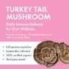 Host Defense Host Defense Turkey Tail Mushroom Capsules – Immune