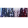 Sennelier Set of 24 Soft Landscape Pastels in Ecu Pastel