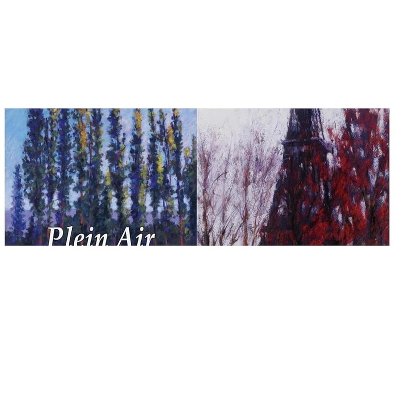 Sennelier Set of 24 Soft Landscape Pastels in Ecu Pastel