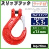 cshklr33r2t Slip Hook, Sling Hook with Latch, Clevis Type, Pin