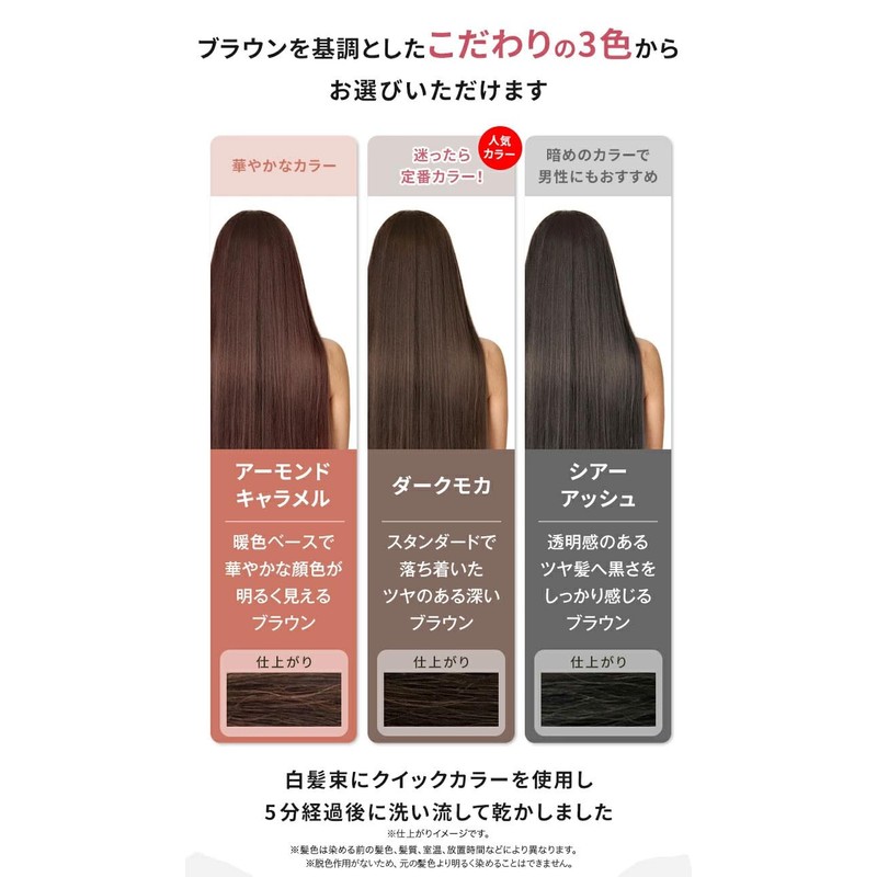 CLAYENCE Clayence Clay Spa Quick Color M Dark Mocha 80g