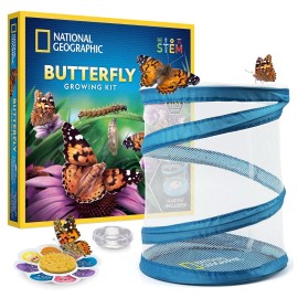 NATIONAL GEOGRAPHIC Butterfly Growing Kit - Butterfly Habitat Kit with Voucher t