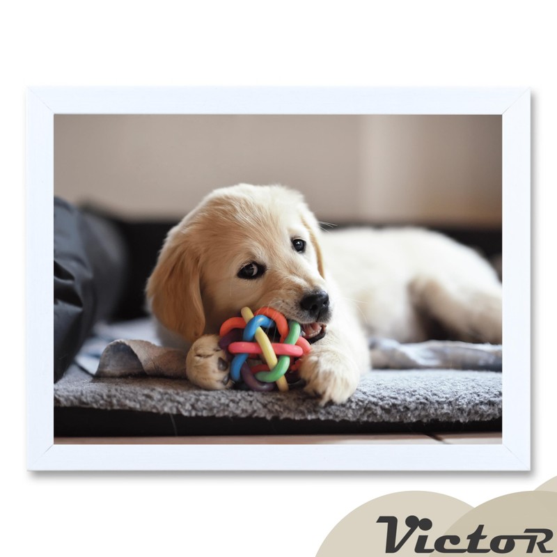 VictoR Picture Frame Stem 18 x 24 cm in White