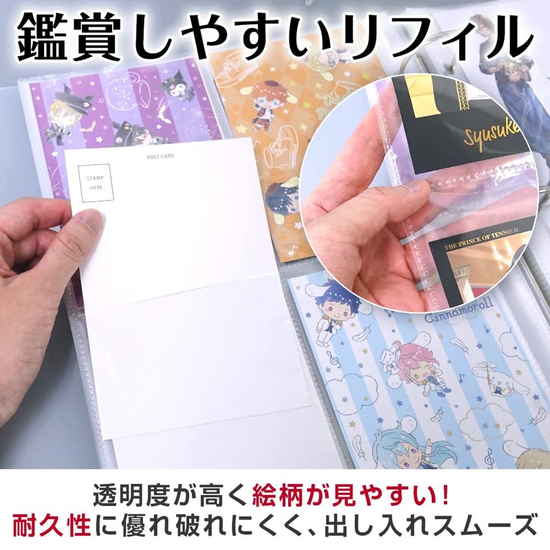 Goods marche Postcard Storage File, Postcard Size, Holds 160 Sheets